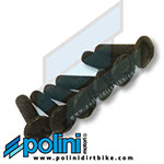 POLINI NUMBER PLATE BOLT ASSEMBLY